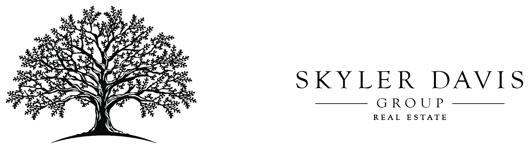 Skyler Davis Group Real Estate